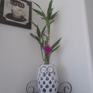 Meet your Posher, Zelma